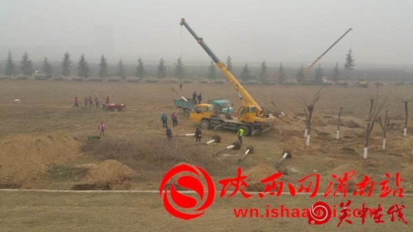渭南园林撸起袖子干实事 城区绿化建设如火如荼