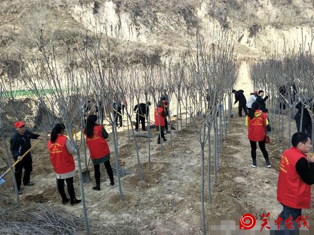 潼关县城关街道办今春植树10万株