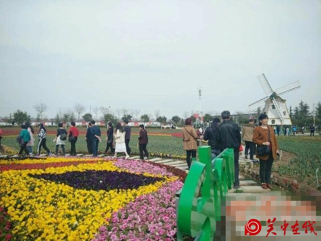 春风徐来踏青时花满泾河好风光 西安北部中心游人如织