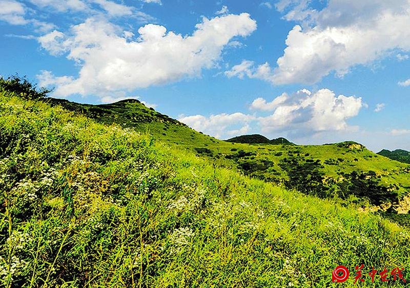 【关中在线】武帝山国家森林公园您去了吗?先来赏图