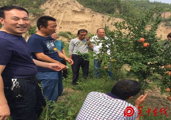 【关中在线】市环保局组织帮扶村群众参观软籽石榴产业基地