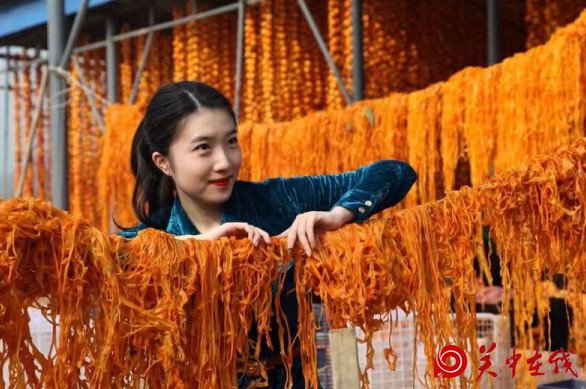 又是一年柿柿红