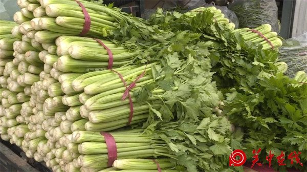 【关中在线】入冬菜价不升反降 大荔蔬菜市场上1元蔬菜成常态
