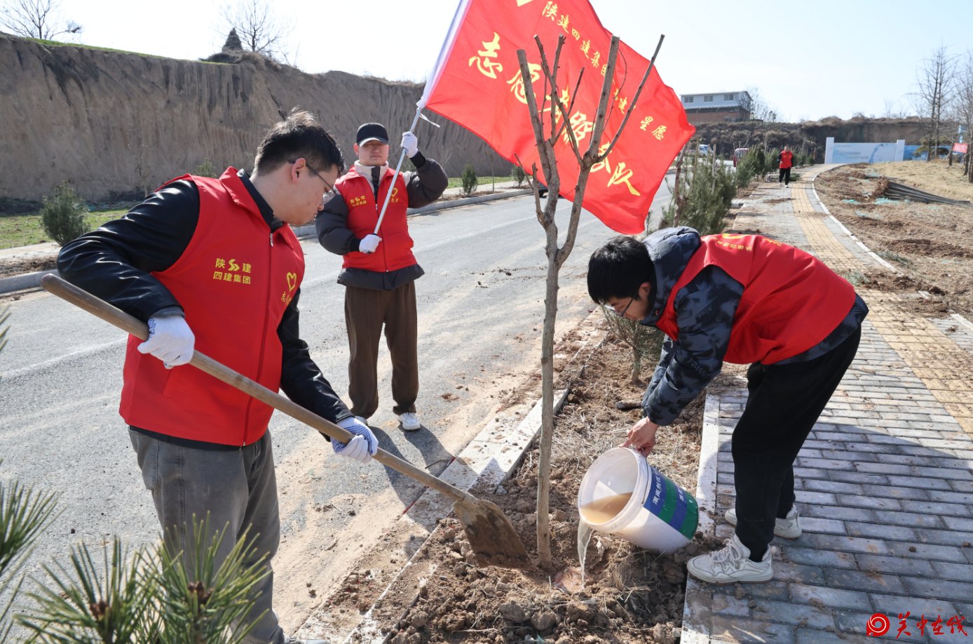 陕建四建集团开展义务植树志愿活动