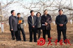全市果业工作暨春季果园管理现场会召开