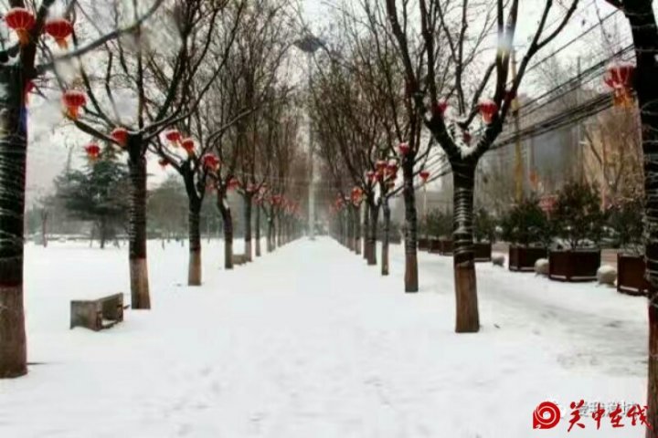 春雪中坚守的交通事故处理民警