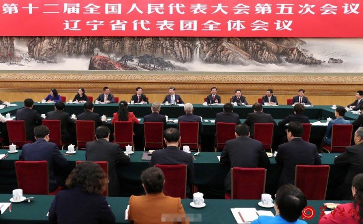 习近平参加辽宁代表团审议：脱贫不要脱离实际随意提前