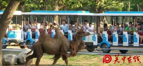 小长假425万游客畅游美丽西安 旅游吸金15亿