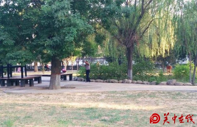 西安的广场舞大妈不惧大暑，竟惹得大爷也翩翩起舞！