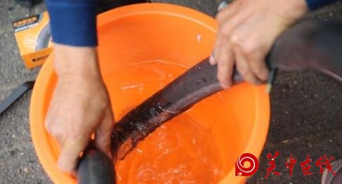 西安六旬老人每天走10公里，就为了义务修共享单车