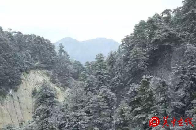 下雪啦！华山迎来立冬后首场降雪