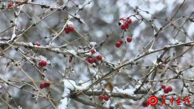 下雪啦！华山迎来立冬后首场降雪