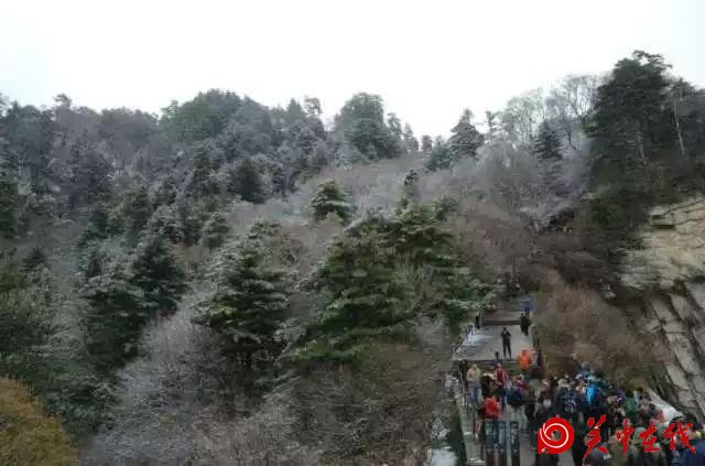 下雪啦！华山迎来立冬后首场降雪