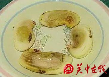 吃剩下的芒果核不要扔，找个花盆，自己在家种，也能开花结果