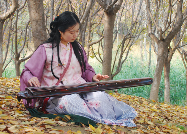 枫笺雁南·去有枫的地方：一场艺术与秋色的双向奔赴