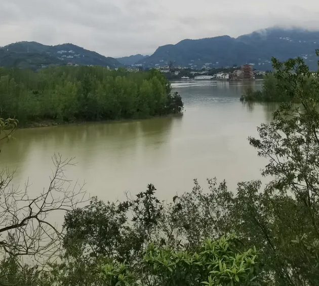 一天一章读《小学》