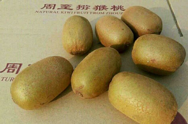 猕猴桃.jpg
